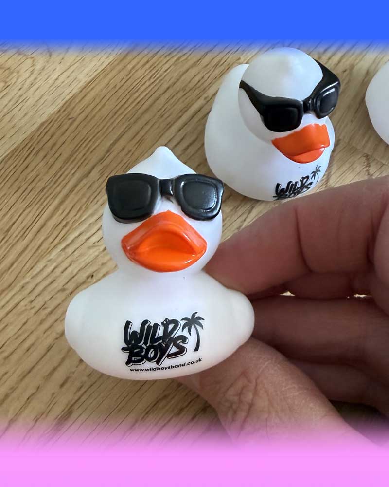 WB Duck